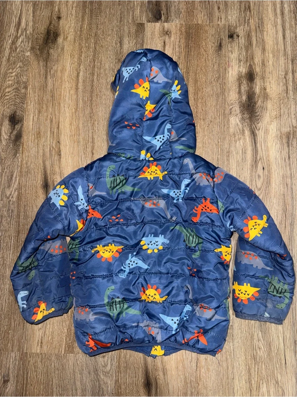 Little Beginnings Boys Dinosaur Print Puffer Jacket Size 3T